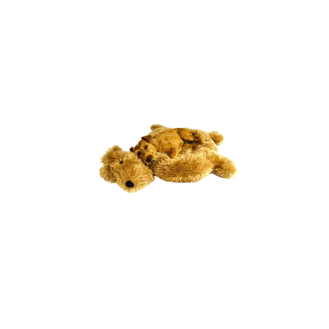 SCHLAFFEIN