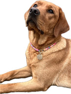 KonfettiMarkenHalsband