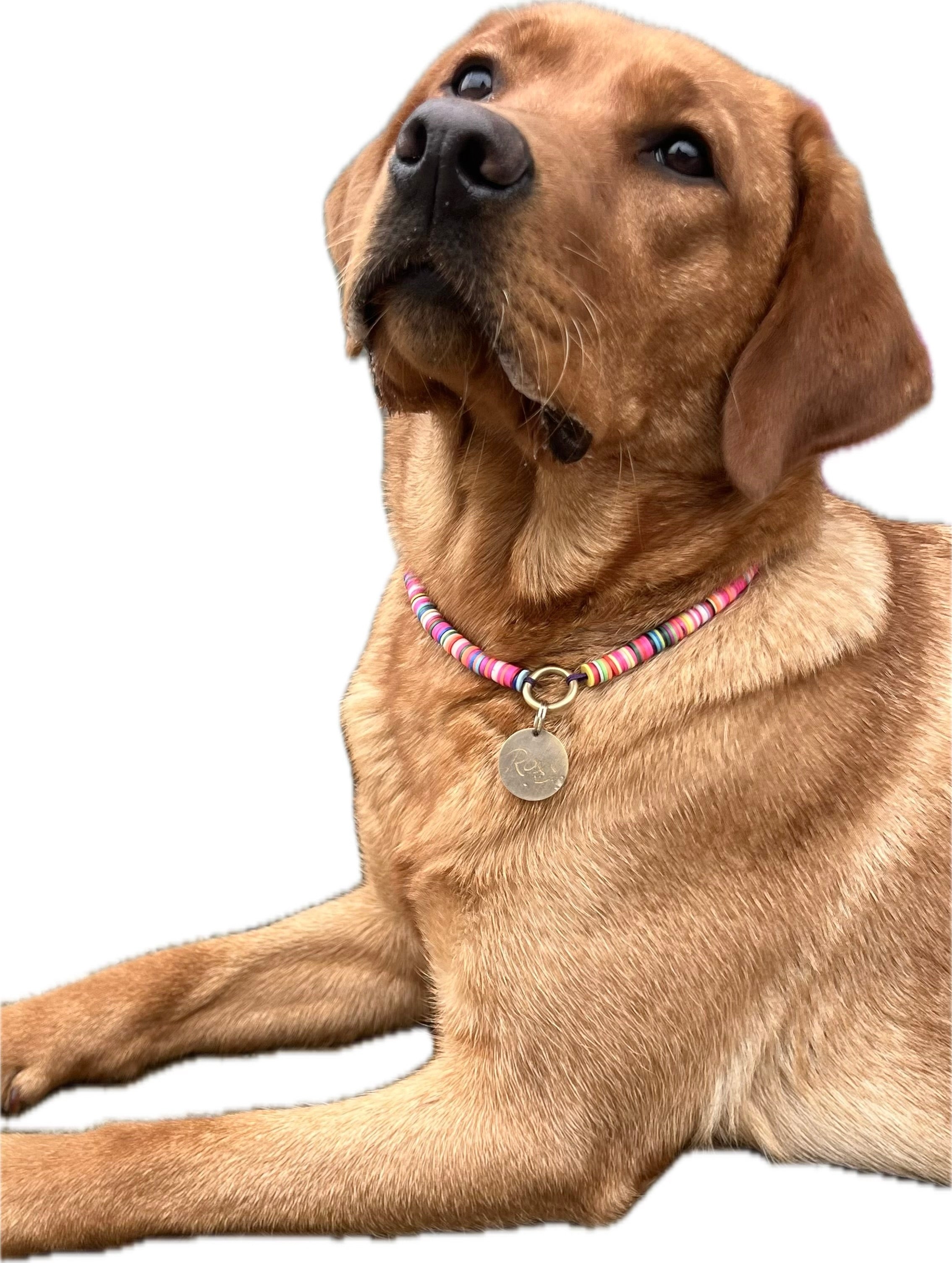 KonfettiMarkenHalsband
