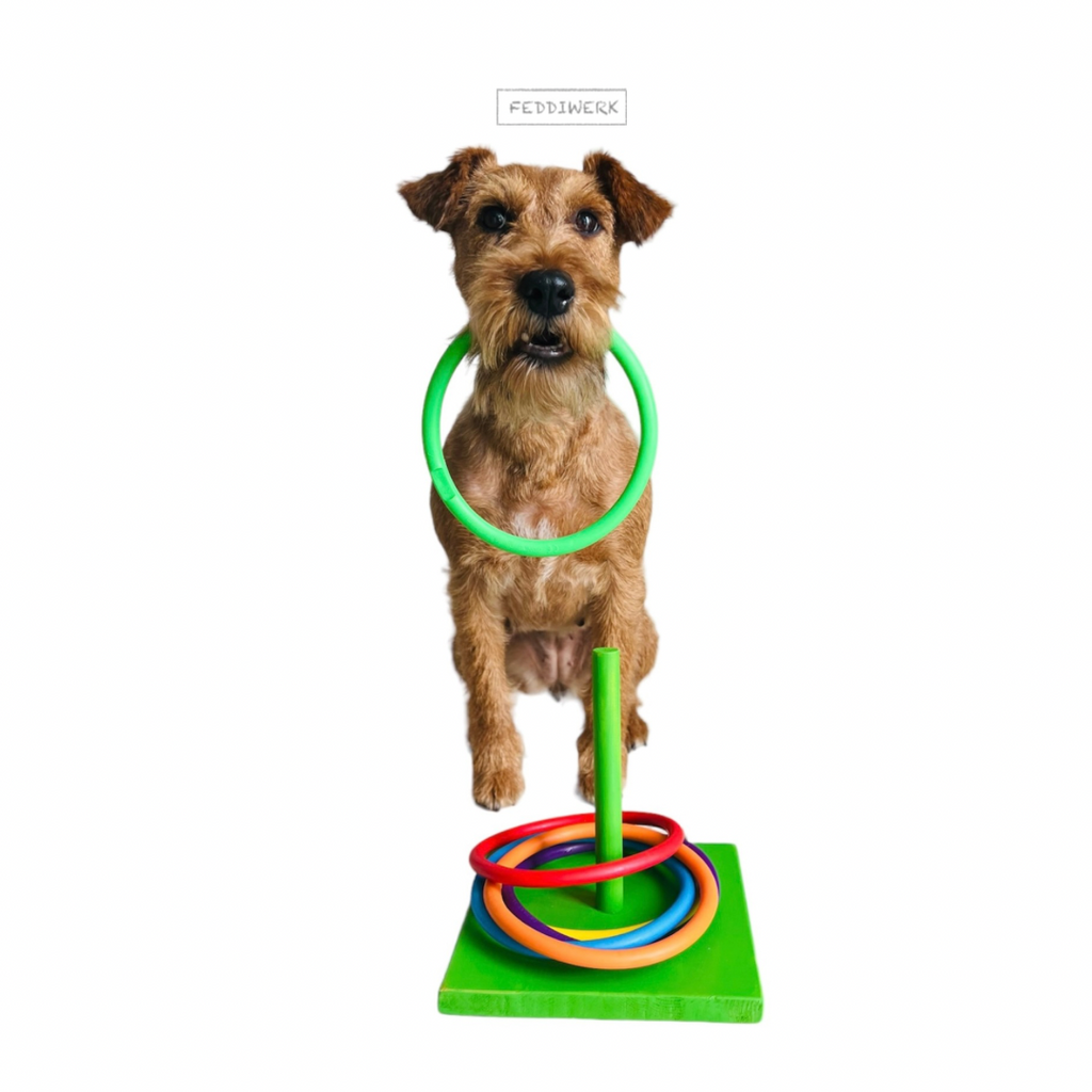 RingStapelSpiel (Trickdog)