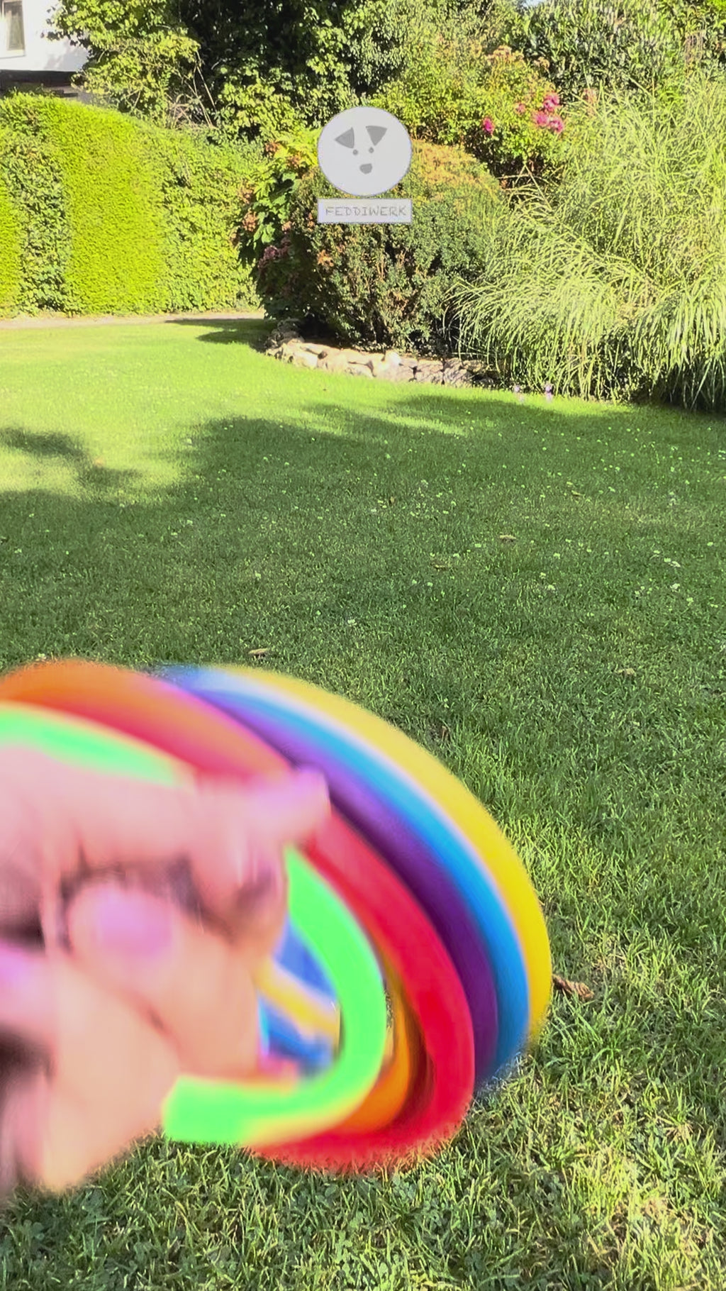 RingStapelSpiel (Trickdog)